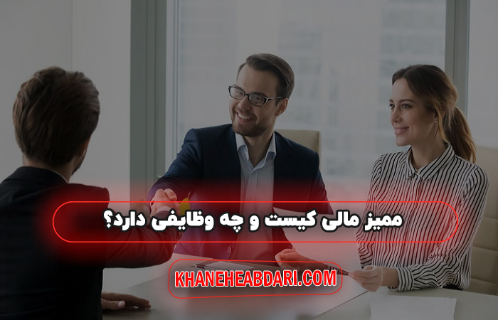 ممیز مالی